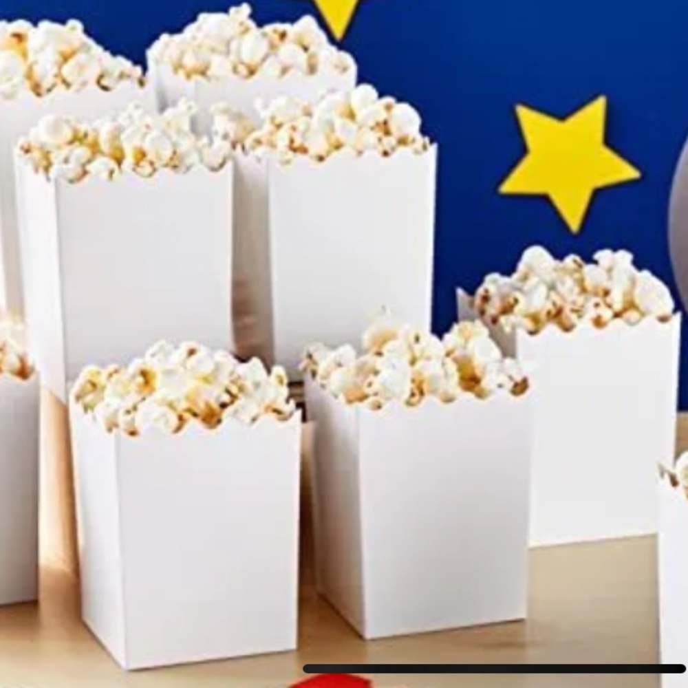 Blue Panda 100 Count popcorn favor Boxes